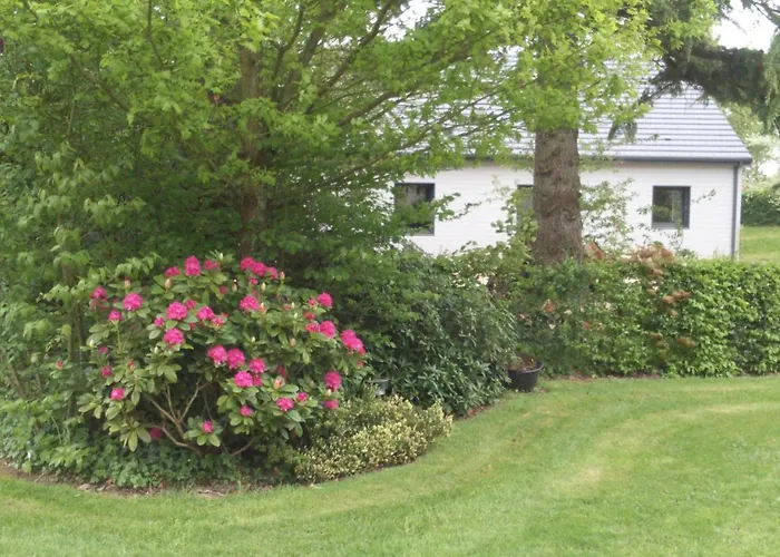 écogîte Indépendant 8 Pers Proche Forêt, Terrasse, Animaux Acceptés - Fr-1-497-23 * Saint-Martin-dʼÉcublei