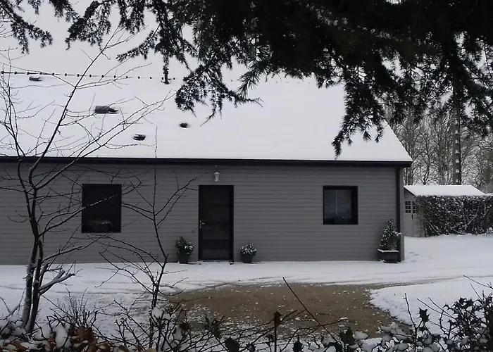 écogîte Indépendant 8 Pers Proche Forêt, Terrasse, Animaux Acceptés - Fr-1-497-23